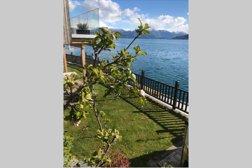 Panoramaresort In Hardangerfjorden Leilighet I Sjokanten Ved Hardangerfjorden For 7 Personer Boat , Sauna,Kajak, Sup For Rent Øystese Dış mekan fotoğraf